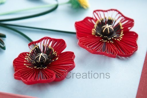 quilled poppies 11