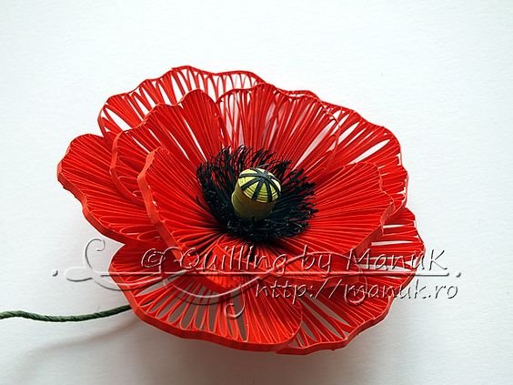 quilled poppies 33