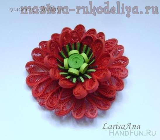 quilling poppy 2