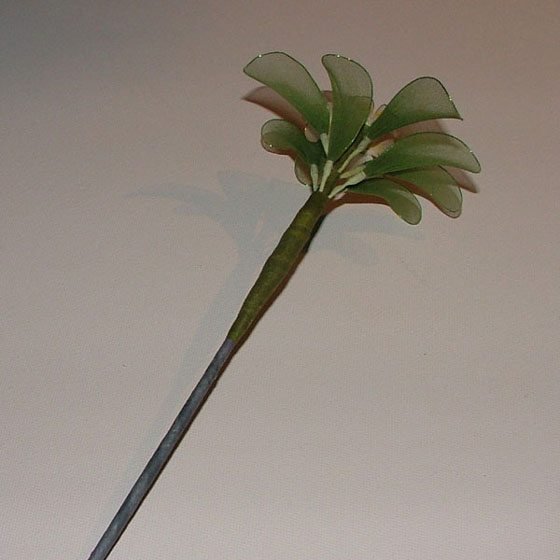bonsai from nylon 14