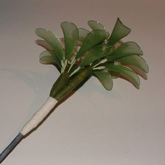 bonsai from nylon 15