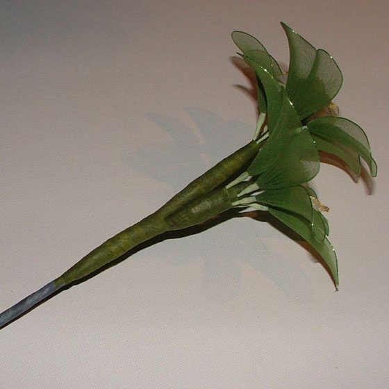 bonsai from nylon 16