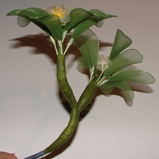 bonsai from nylon 17