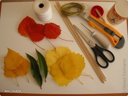 chrysanthemums making 2