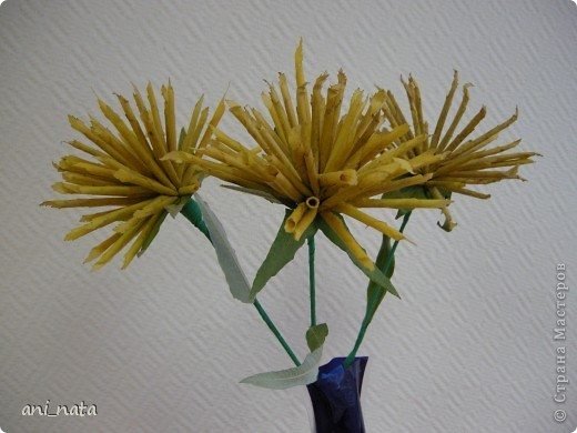 chrysanthemums making 21