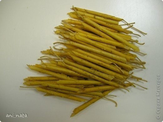 chrysanthemums making 7