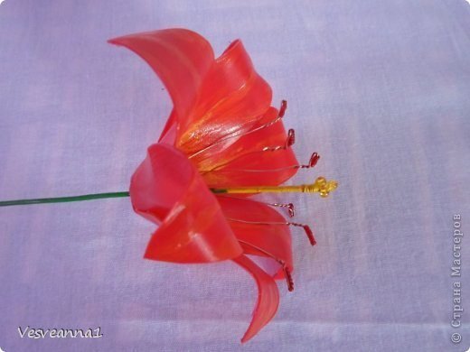 lily flower making 10