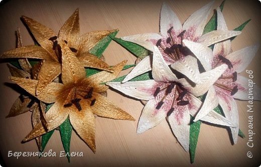 lily flower making 17 1