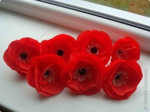 red poppies 1
