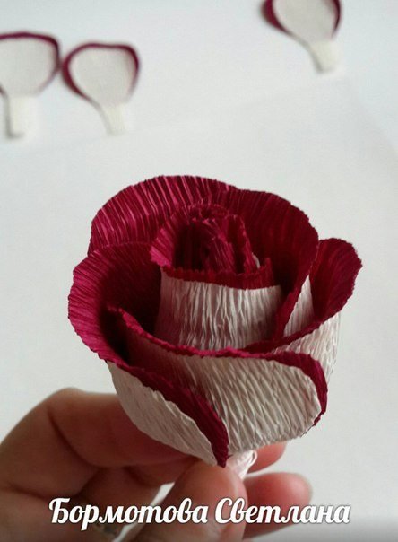 rose flower making 15