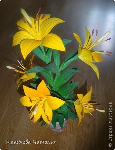 yellow lilies 2