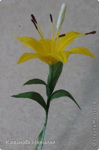 yellow lilies 7