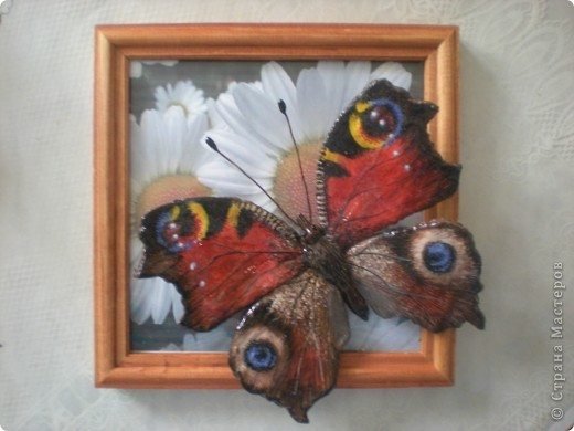 butterfly making 1