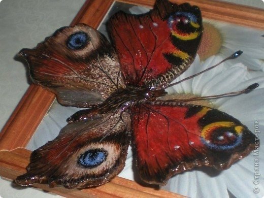 butterfly making 6