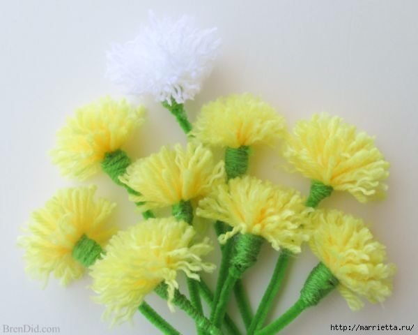 chrysanthemums of pompons 6
