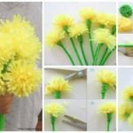 chrysanthemums of pompons a1