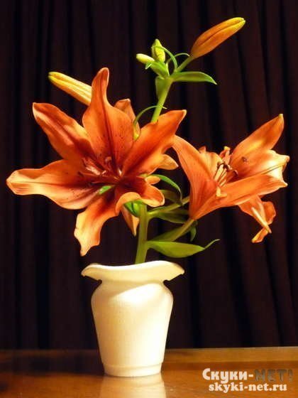 flower vase 15