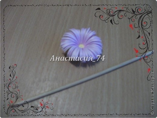 balloon flower 10