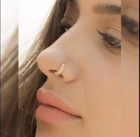 gold nose rings 13