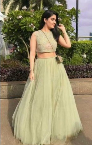 net lehenga design 3