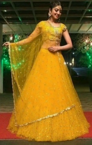 net lehenga design 5