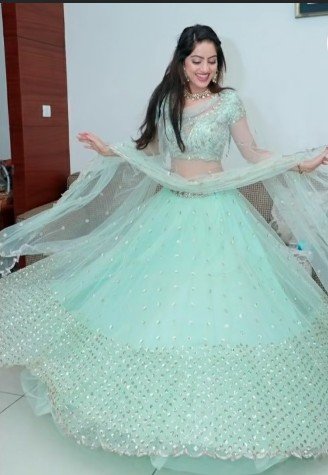 net lehenga design 9