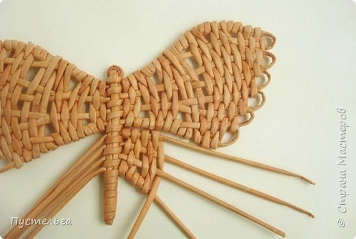 butterfly making 20