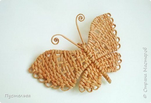 butterfly making 25