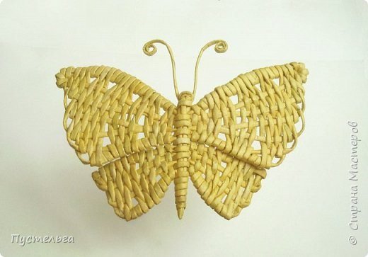 butterfly making 26