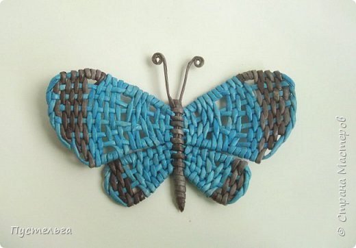 butterfly making a1