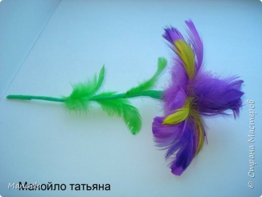 flower from feathers 5