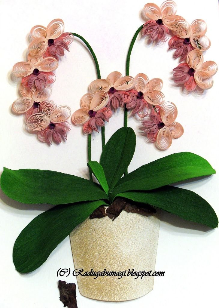 orchid flower craft 1