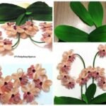 orchid flower craft a1