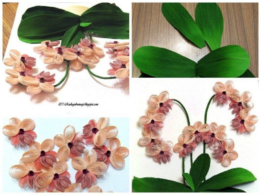 orchid flower craft a1