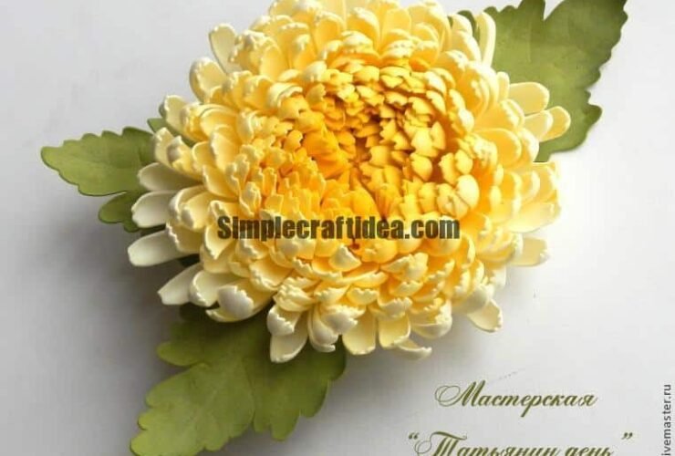 chrysanthemum a1